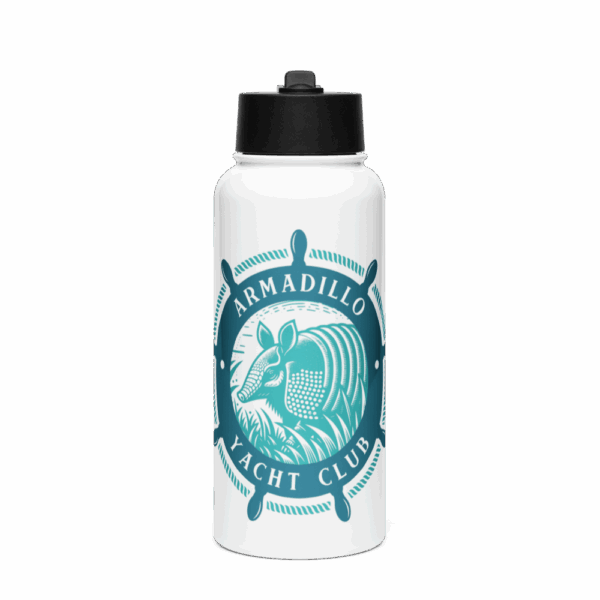 Stainless Steel Water Bottle with Straw Lid